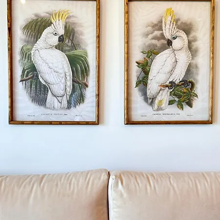 Apartamento Veranoazul Nerja Buitenkant foto